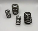 Valve spring set C11,C11G,C12