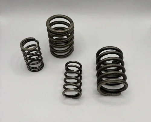 Valve spring set C11,C11G,C12