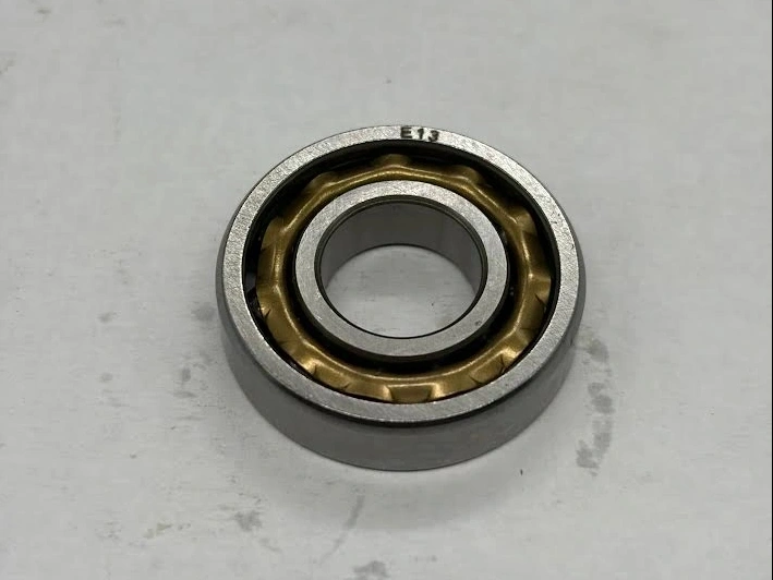 Bearing 189289 E13