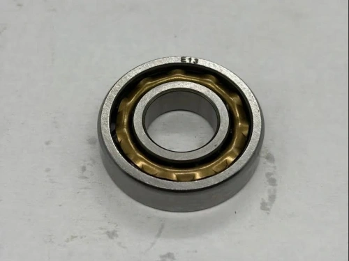 Bearing 189289 E13