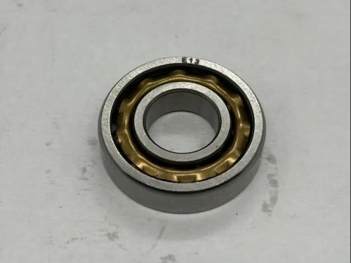 Bearing 189289 E13