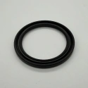 Oil seal AMC 