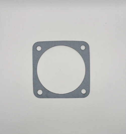 Sump gasket oil in frame