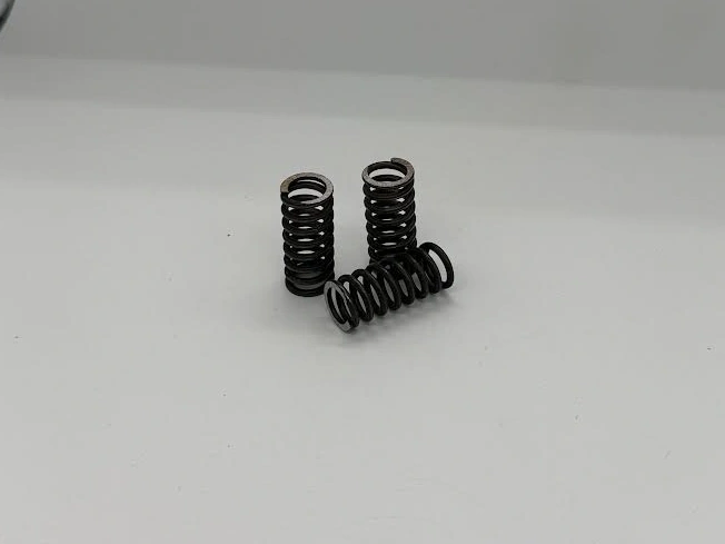 Clutch spring set C (3)