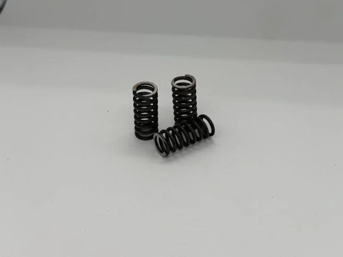 Clutch spring set C (3)