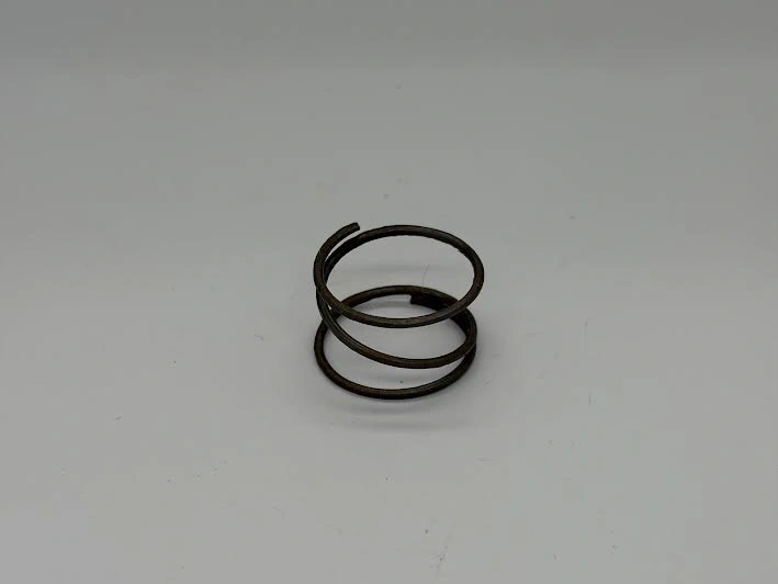 Kickstart ratchet spring