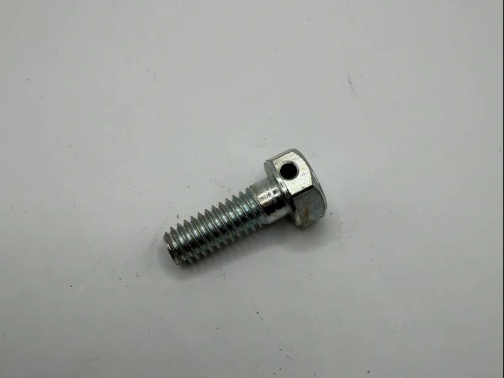 Primary/crankcase bolt 
