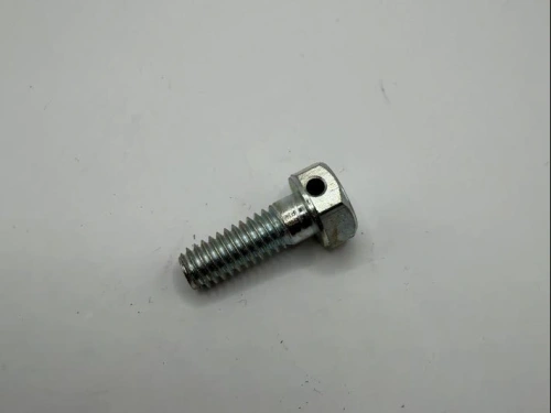 Primary/crankcase bolt 