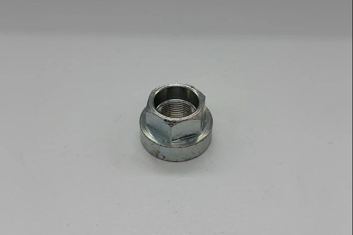 Rear wheel spindle nut WM20, M20