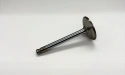Valve exhaust A65 1962-72