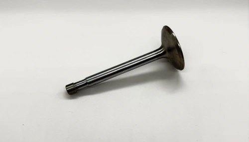 Valve inlet M20, M21