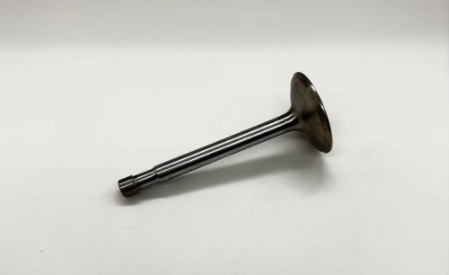 Valve exhaust M20, M21