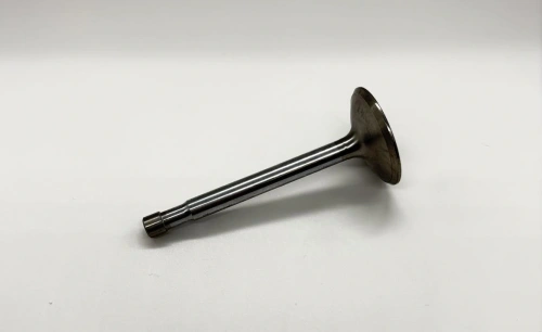 Valve exhaust M20, M21