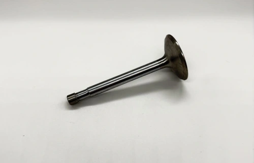 Valve inlet B31