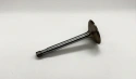 Valve exhaust B31 