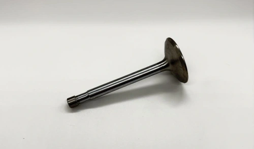 Valve exhaust B31 