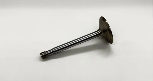 Valve Exhaust B44 1967-69 