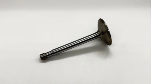 Valve exhaust B40,B44