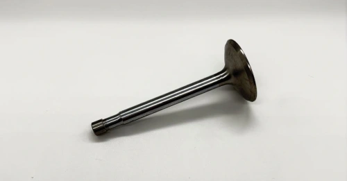 Valve exhaust C10