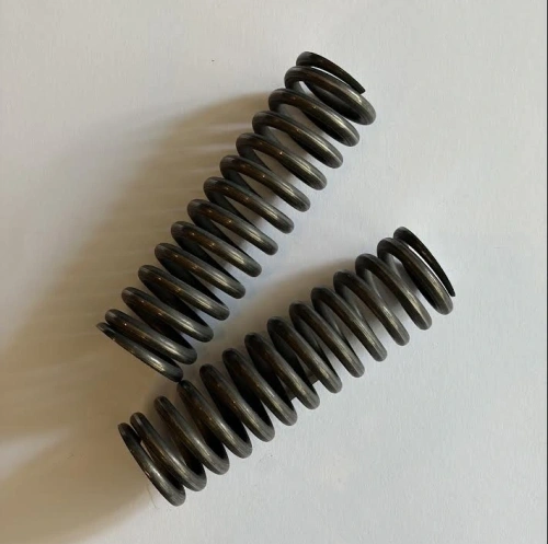 Plunger top springs (2) 