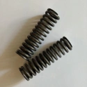 Plunger top springs (2) 
