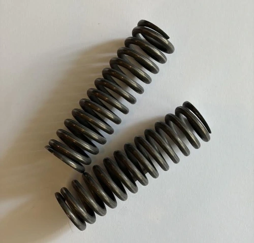 Plunger spring bottom (2)