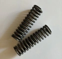 Plunger spring bottom (2)